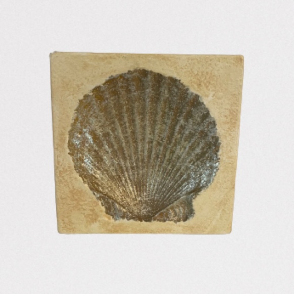 Seashell wall decor yellow gold plaster cast